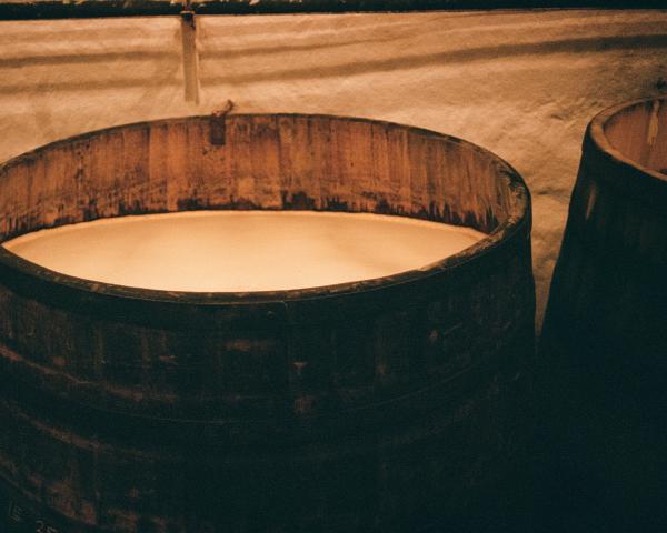 Zurich -> Lucerne -> Prague -> Salzburg -> Munich in November-December 2025.