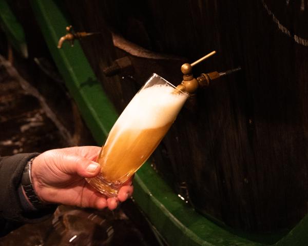 Zurich -> Lucerne -> Prague -> Salzburg -> Munich in November-December 2025.