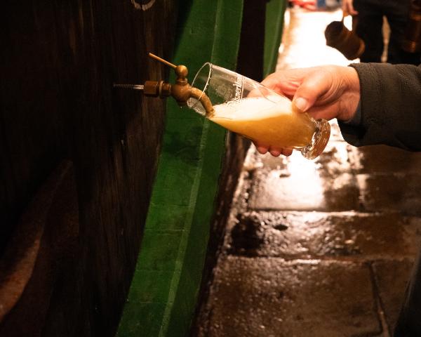 Zurich -> Lucerne -> Prague -> Salzburg -> Munich in November-December 2025.